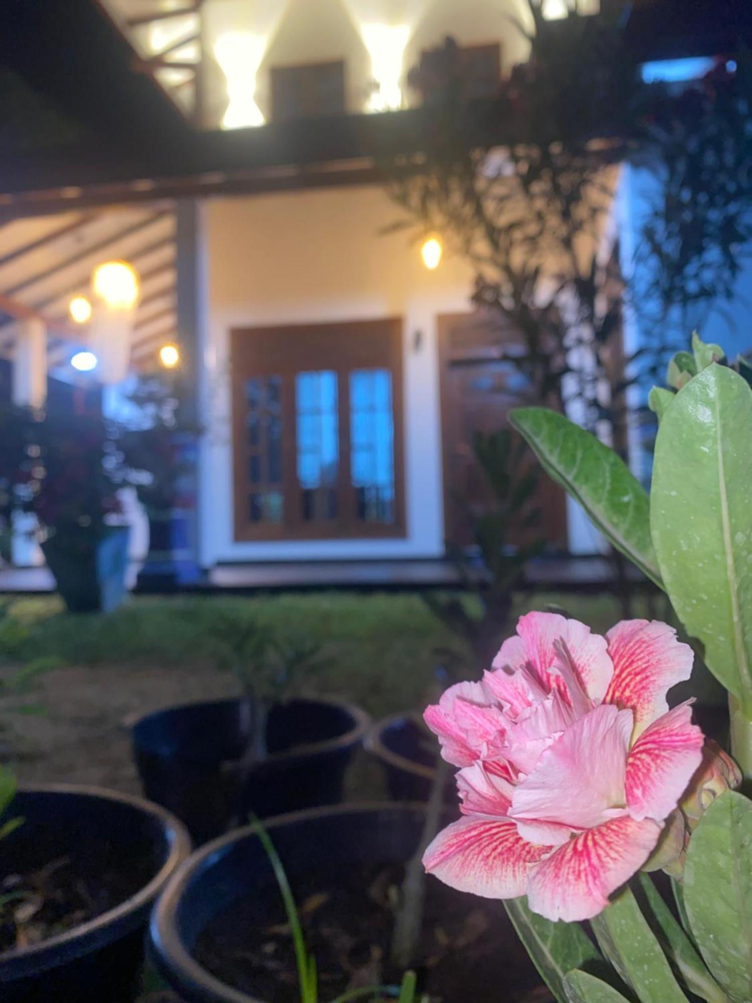 Udara Guest - Yala Safari Villa Exterior photo